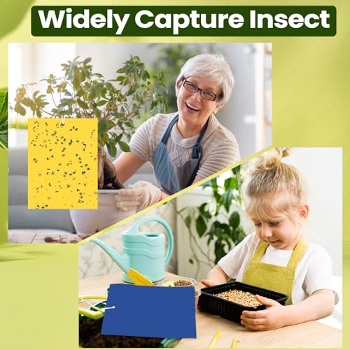 Qualirey 100 Pcs 6x8 Inch Yellow Blue Sticky Traps for Gnats - color: Yellow,Blue