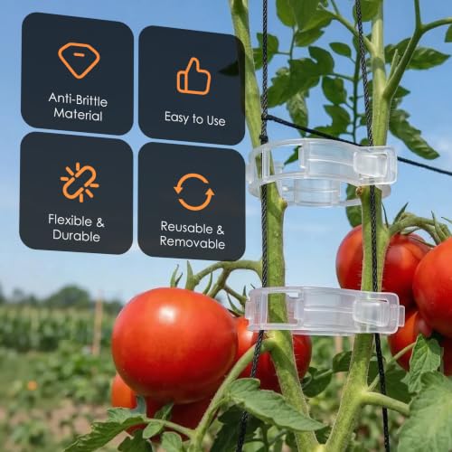 LOOHOI 100Pcs Tomato Clips for Climbing Plants Trellis Plant Support Clips - color: Translucent