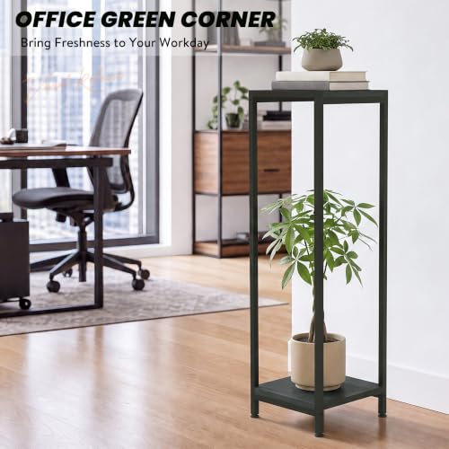 TOSKING 2-Tier Wide & Tall Plant Stand Indoor, Modern Metal Shelf, Black - color: Black-2-tier 41''
