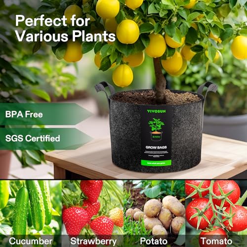 VIVOSUN 10-Pack 20 Gallon Plant Grow Bags, Heavy Duty Thickened Nonwoven Fabric Pots with Handles - color: Black, size: 20 Gallons (Pack of 2)