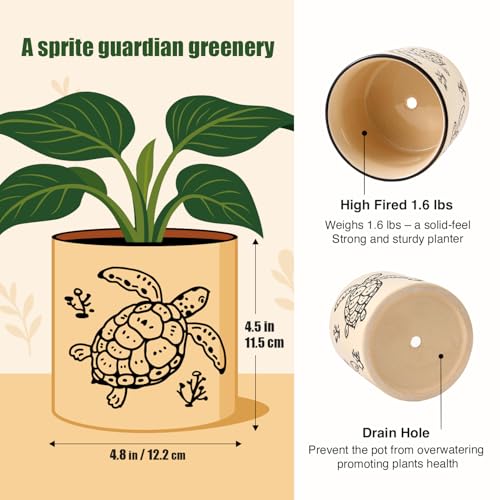 STHIE 5 Inch Ceramic Plant Pots for Indoor Plant with Drainage, Sea Turtle - color: Sea Turtle