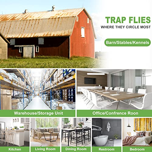 LFSYS 50 Window Fly Traps Indoor Fruit Fly Traps for Indoors