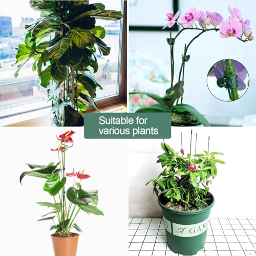 LeJoy Garden 22Pcs Bendable Plant Stakes with Clips for Orchid, Monstera - color: Green