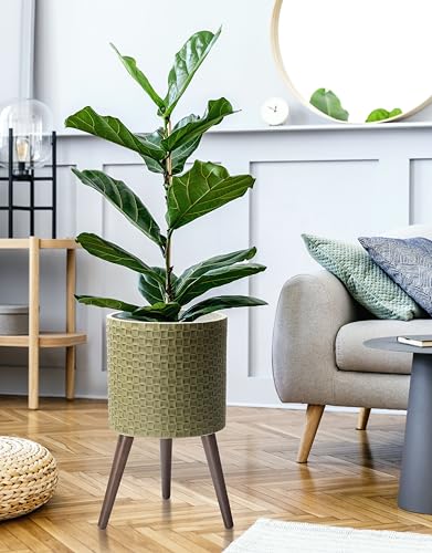 D'vine Dev Planter Pot with Wood Stand, 12 in, Distressed Olive, 88-Z-C-4 - color: Distressed Olive, size: Large
