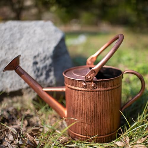 1 Gallon Copper Metal Watering Can, Removable Spout - color: Copper, size: 1 Gallon