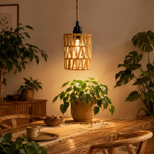 2 Pack Hanging Grow Lights for Indoor Plants Boho Rattan Plant Light