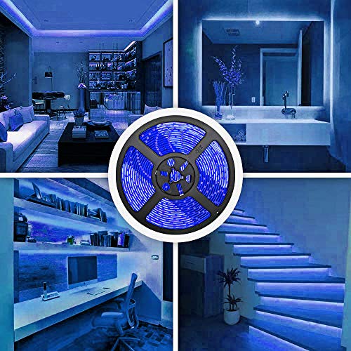 32.8ft Blue LED Strip Lights, Waterproof IP65 SMD2835 Dimmable 600LEDs 12V Cuttable Under Cabinet, Bar, Bedroom, Holiday Decoration Lighting Tape 2 Rolls - color: Blue
