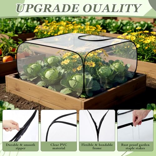 2 Pack Garden Covers for Raised Bed Foldable Clear PVC Greenhouse for Freeze Protection Row Plants Cover Accelerator with Zipper Door Black 39"x39"x20" Protection Vegetable Fruit from Animal - size: 39"x39"x20"