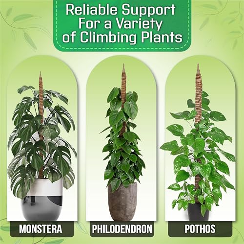 Moss Pole for Plants, 3 Pack of 28,48,63 inches