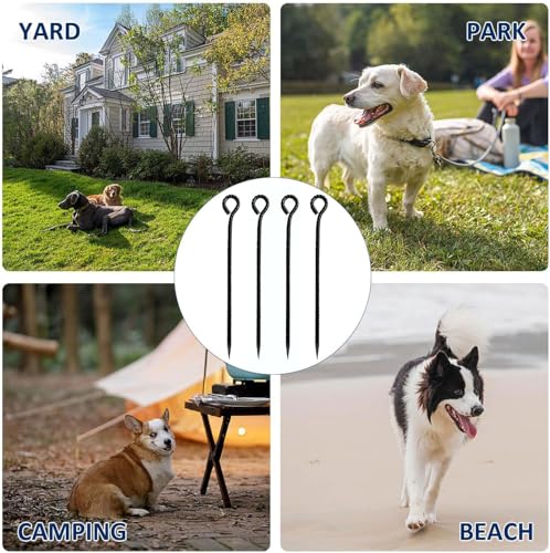 16 Inch Rebar Stakes,Metal Stake Ground,Ground Anchor,Heavy DutyTent Stakes,Baking Paint Metal Stakes,Tent Stakes,Ground Stakes ,0.5 Inch Diamete (6 Pack) , Outdoor Travel - color: 16inch-6pack