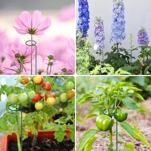 FEED GARDEN 24 Inch 12 Pack Plant Support Stakes, Metal Garden Flower Stakes and Supports for Outdoor Plants, Plant Stem Support with 24 Twist Ties for Amaryllis Lily Rose Peony Tomatoes Gladiolus - size: 24 Inch