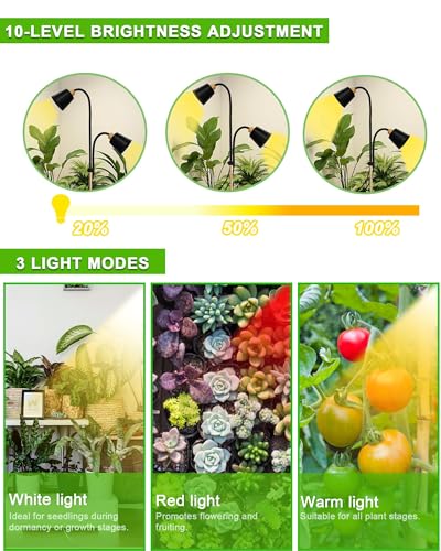 Standing Plant Grow Light, LED Growing Light Full Spectrum for Indoor Plants,4/8/12H Timer, 10-Level Brightness,Flow Grow Light for Tall Large Indoor Plants - size: Dual Head Bendable Light