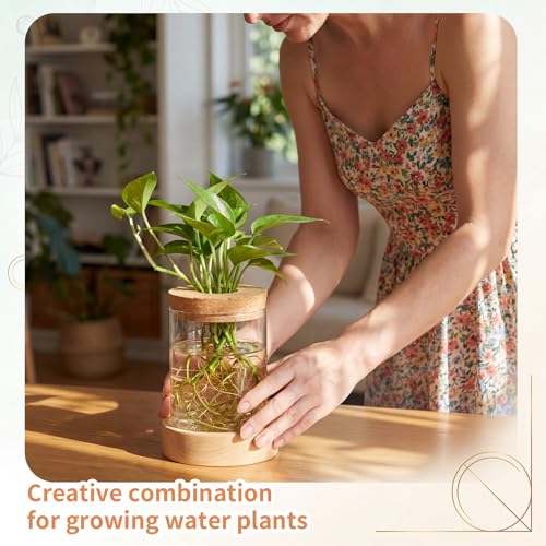 Junkin 4 Pack Plant Propagation Station with 7 Colors Adjustable LED Light