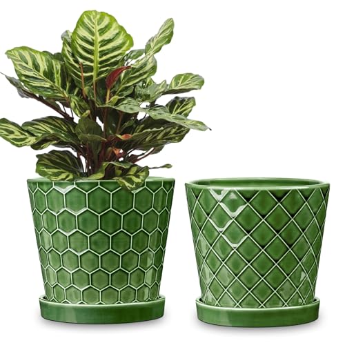 BUYMAX 6 Inch Plant Pot Ceramic Flower Pots Set of 2 with Drainage Hole - color: Patina