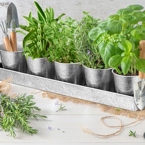 FoldTier 2 Sets Indoor Herb Garden Planter Kit with 10 Metal Pots, Silver - color: Sliver