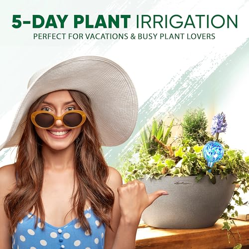 Plant Watering Globes Set of 6, Small - Glass Self Watering Globes - style: Set of 6 Small
