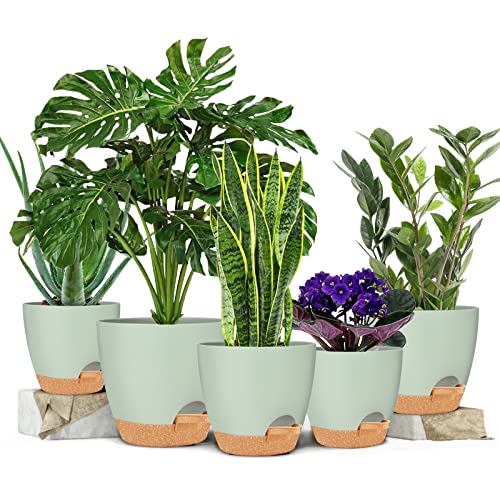GARDIFE 5/5.5/6/6.5/7 Inch Self Watering Planters, Green - color: 7-green, size: 7/6.5/6/5.5/5 inch|5 pcs