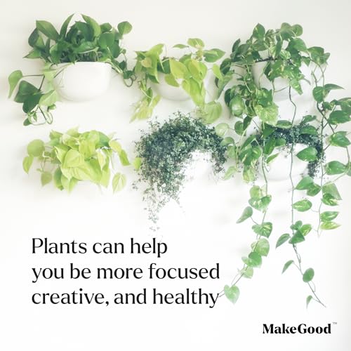 Make Good Virgo Wall Planters (Wide, Set of 6) - Easy to Water and Install - Lightweight - Design Your Own Vertical Garden - Melamine Plastic