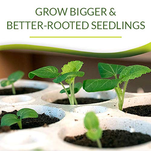 Park Seed Bio Dome Seed Starter Kit with 60 Cell Planting Block, Base Tray, Humidity Dome & 60 Bio Sponges - size: 60 Cell