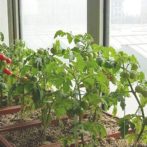 Plant Stake Support - 6 Pack, Garden Single Stem Support Stake 15.9 inch - size: 15.9inch