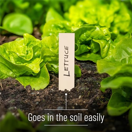 Mr. Pen- Wooden Plant Labels with Marker, 100 Pcs, 6“, Wooden Plant Markers