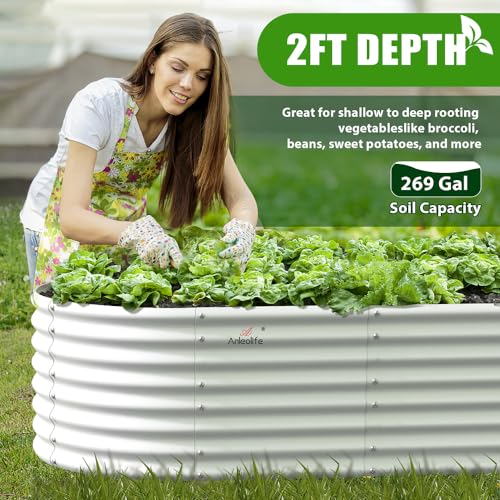 Anleolife 6x3x2ft Oval Deep Root Raised Garden Bed, Antique White - color: Oval White, size: 6×3×2ft Tall