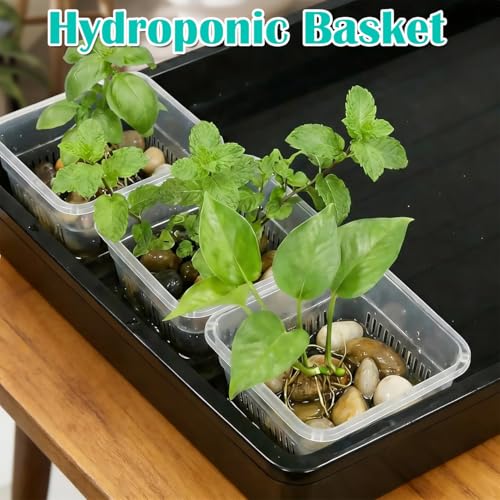 BTPLASTIK Clear Square Nursery Pots, 30 Packs 4 Inch Clear Hydroponics Growing Square Pots, Transparent Plastic Plant Pots for Seed Starting, Root Cutting - size: 4 Inch-30P