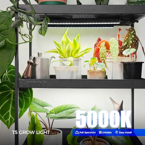 Barrina T5 LED Grow Lights, 1FT 10W (2 X 5W), 5000K Full Spectrum, 2 Packs - color: White, size: 1FT-Black Cover-2P