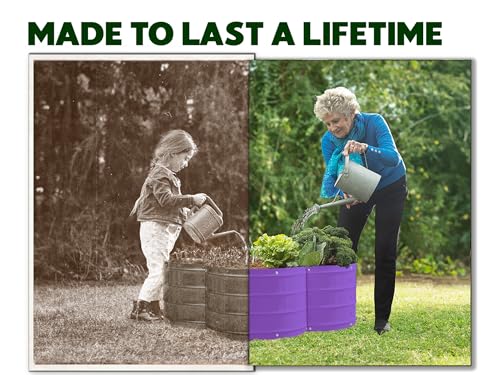 Plant & Plot Galvanized Raised Garden Beds Outdoor // 3×3×1 ft Planter Raised Beds for Gardening, Vegetables, Flowers // Large Metal Garden Box (Purple) // Patented Tool-Free Design - color: Purple