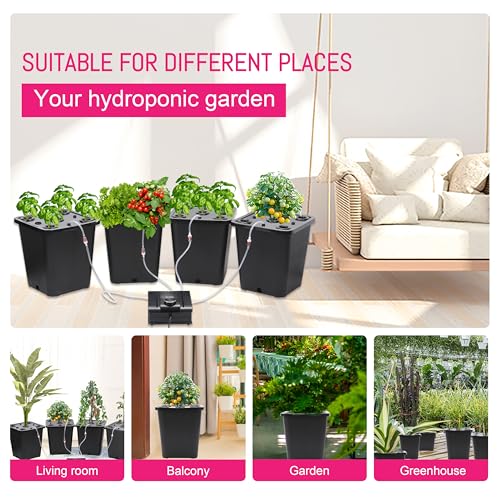 4 Hydroponic Buckets Kit for Plants, Hydroponics Growing System for Herbs/Tomato/Vegetables, DWC System with Air Pump & Germination Tray Black (Complete Indoor Hydroponic Gardening Supplies) - size: 4 Buckets Kit (Black)