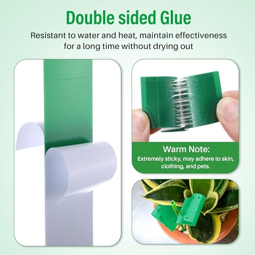 100 Pcs Gnat Sticky Traps for Plants, Sticky Traps for Gnats with 20 Stakes to Control, Aphids, Plant Bug, Mosquito Bits and Whiteflies(Green) - color: Green