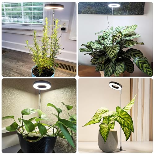 Small Halo Grow Light with Base, 48 LED Full Spectrum Indoor Plant Grow Light, Height Adjustable, 3 Spectral Modes, 10 Brightness Levels, Automatic Timer 3/9/12 Hours, Black - color: Black, size: 1 Pack Warm+White with Telescopic Pole and Base