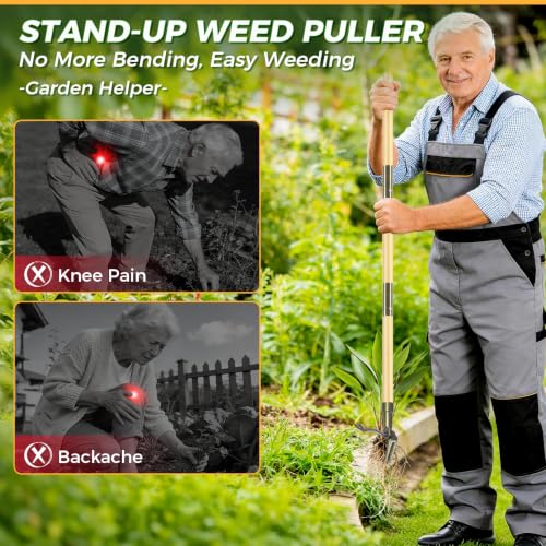 Weed Puller Tool, Stand Up Heavy Duty Weed Remover Tool with Long Handle – 4-Claw Steel Head Weeder for Dandelions, Bamboo Garden Hand Weeding Tool, No Kneeling for Easy Root Removal - color: Light brown