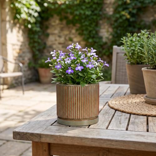 4 Inch Pots for Plants, Ceramic Plant Pots with Saucer, Retro Brown - color: Retro Brown, size: 4 Inch