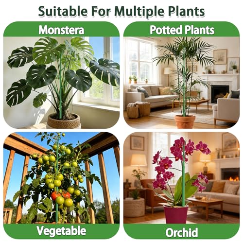 Telescoping Monstera Support Stakes, Detachable Plant Sticks 2 Pack - size: 2PACK-43.3in