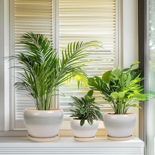 Ceramic Flower Pots, 10+8+6 Inch Ceramic Planters, White-Grey - color: White-grey