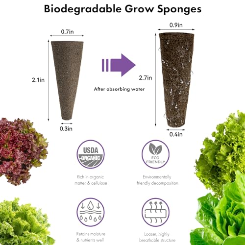 LYKOCLEAN Salad Romaine Lettuce Pods for AeroGarden, Ahopegarden, iDOO Hydroponics Growing System, 350 Seeds+ Including American Fast Lettuce, Paris Island Cos Lettuce, Buttercrunch Lettuce(7-Pods) - color: Lettuce, size: 7pods
