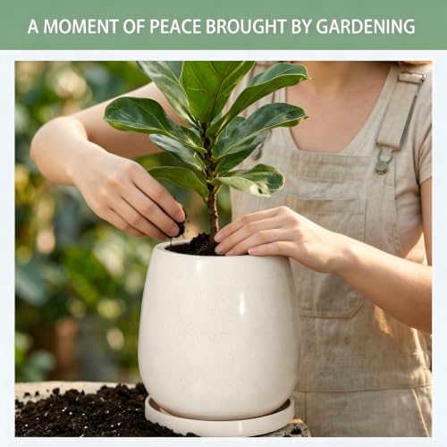10.3 Inch Ceramic Glaze Plant Pot with Saucer, Flower Pots with Drainage Hole Mesh Net(Hemp-Gray Dot) - color: Hemp Gray Dot