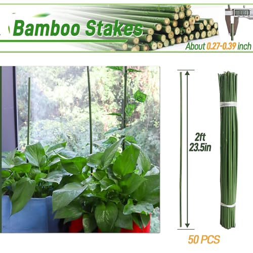 50Pcs 2ft Bamboo Sticks for Indoor Outdoor Plants, 0.29"-0.38" Natural Bamboo Poles, Durable Garden Stakes for Tomatoes, Beans, Flowers and Potted Plants - size: 2FT 50PCS