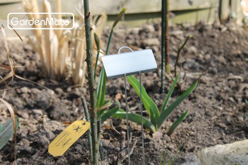 GardenMate 25-Pack Weatherproof Large Zinc Metal Plant Labels, Height 11.5", Label Area 3 1/2 x 1 1/4" - size: 25-Pack, style: 11.5'' Large Zinc