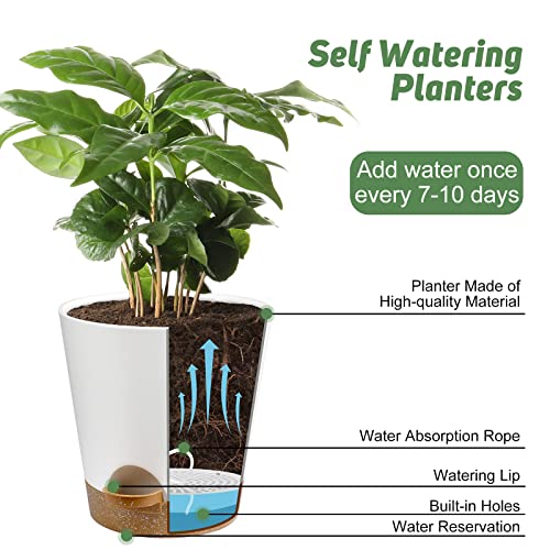 YNNICO Indoor Self Watering Planters with Drainage Holes and Saucers, 8, 7, 6.5, 6, 5.5, 5 Inches, White, 6 Pots (Pack of 2) - color: White, size: 8+7+6.5+6+5.5+5 inch (Pack of 2)