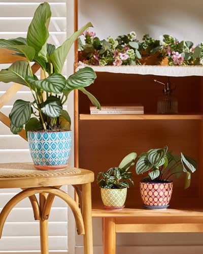 Metahom 5.8 Inch Ceramic Plant Pots, Colorful Flower Pots Set of 4 - size: 5.8 inch