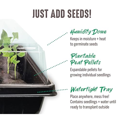 Jiffy Seed Starting Tray Kit - 36 Cell Plant Starter Trays, Portable - 11 x 11 x 4.25 in - 4 Pack - style: 4 Greenhouse Kit