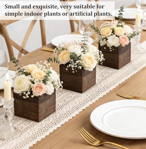 Dahey Small Wall Hanging Planters 3 Pack 4 Inch Wood Pot with Plastic Liner