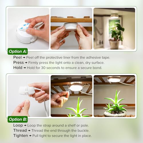 7W Small Grow Light for Indoor Plants with Timer and Dimming - size: 1-Head