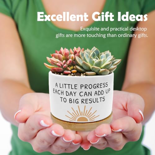 Motivational Sunshine Planter Pots, Inspirational a Little Progress Each Day Ceramic Succulent Plant Flower Planters(No Plants) - color: Style 10