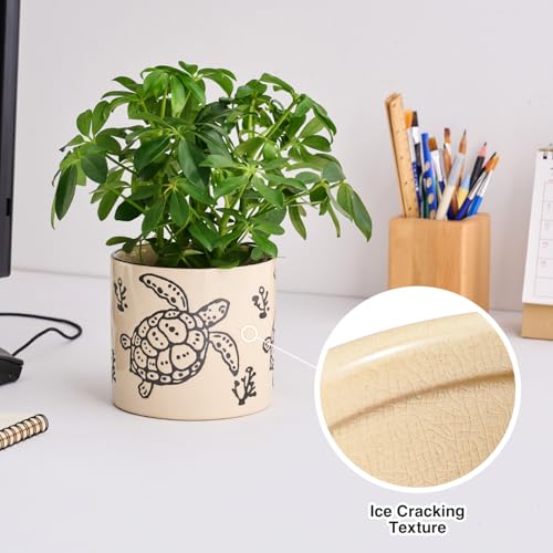STHIE 5 Inch Ceramic Plant Pots for Indoor Plant with Drainage, Sea Turtle - color: Sea Turtle