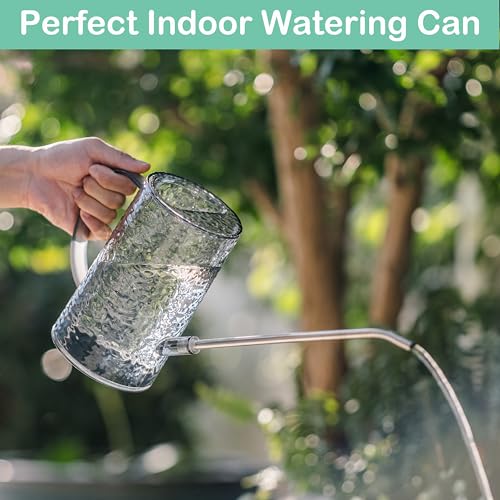 Long Spout Watering Can Indoor Plants, Small Watering Cans for House Plants, Flowers, Succulents 34oz - color: Gray