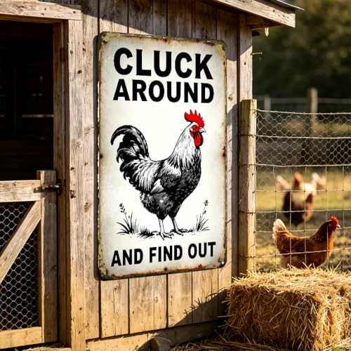Funny Chicken Coop Sign Chicken Cluck Around and Find Out 8x12in - color: TPH375-US