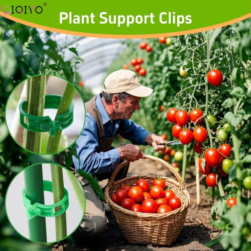 Plant Support Clips,Plastic Clips for Securing Plants,Tomato Vine Clips,Plant Fixing Clips,Garden Clips for Climbing Plants,Grape and Vine Vegetables (200, Light Green) - color: Light Green